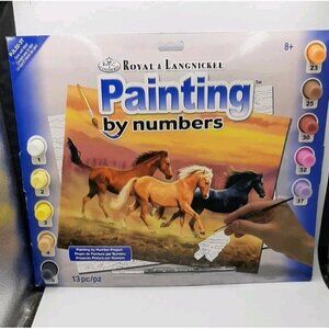 Royal & Langnickel Paint By Number Kit 15.75 in X 11.25 in Gone With Wild NEW
